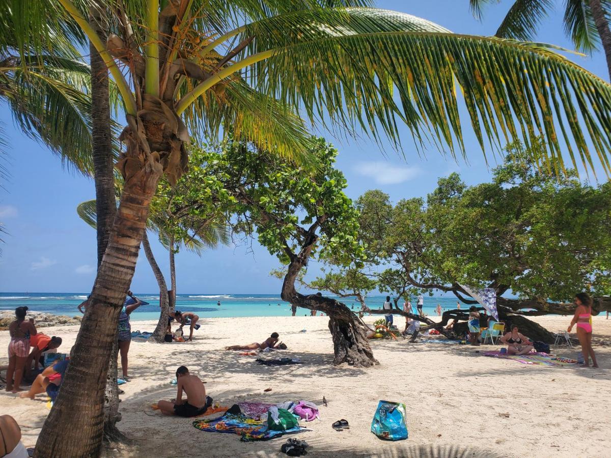 Villa L'Anjou Creole A Sainte Anne En Guadeloupe Avec Piscine Privee Et 2 Chambres Pour 4 Personnes Luaran gambar