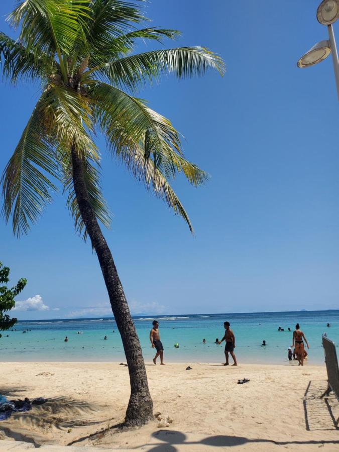 Villa L'Anjou Creole A Sainte Anne En Guadeloupe Avec Piscine Privee Et 2 Chambres Pour 4 Personnes Luaran gambar