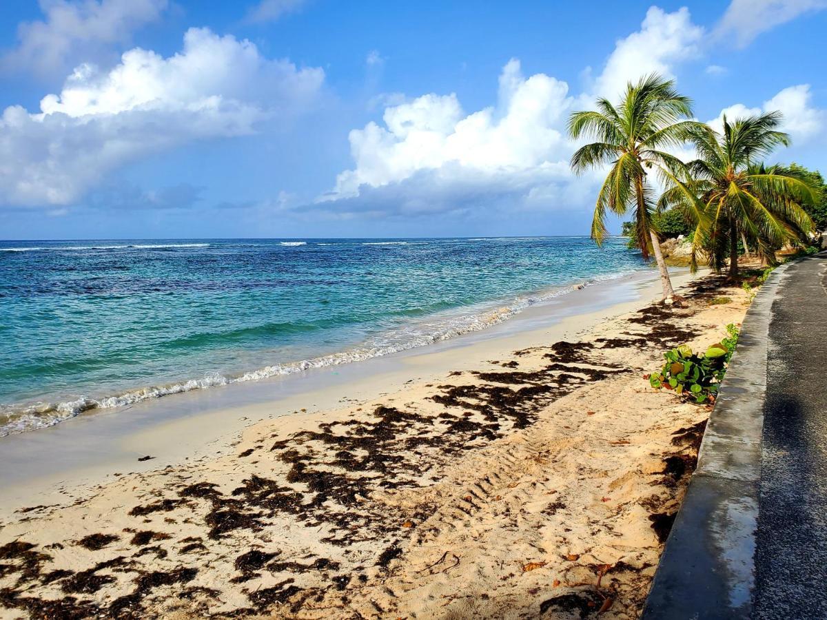 Villa L'Anjou Creole A Sainte Anne En Guadeloupe Avec Piscine Privee Et 2 Chambres Pour 4 Personnes Luaran gambar