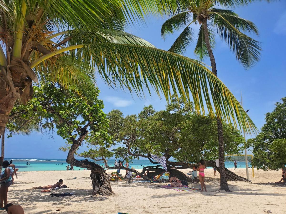 Villa L'Anjou Creole A Sainte Anne En Guadeloupe Avec Piscine Privee Et 2 Chambres Pour 4 Personnes Luaran gambar