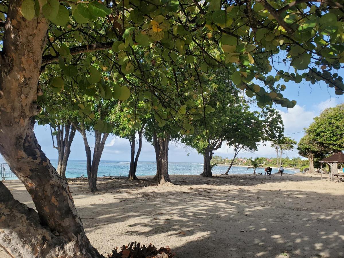 Villa L'Anjou Creole A Sainte Anne En Guadeloupe Avec Piscine Privee Et 2 Chambres Pour 4 Personnes Luaran gambar
