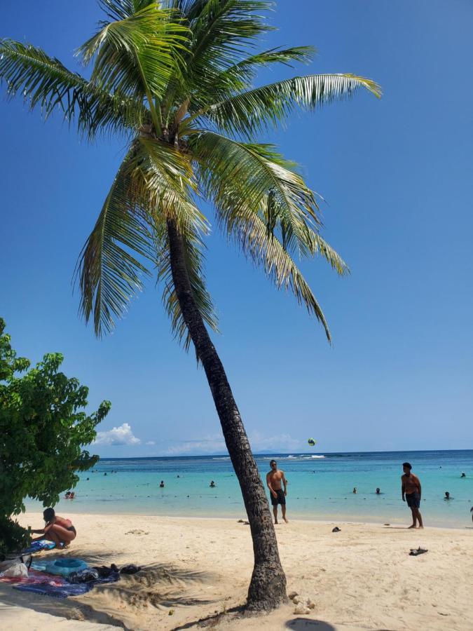 Villa L'Anjou Creole A Sainte Anne En Guadeloupe Avec Piscine Privee Et 2 Chambres Pour 4 Personnes Luaran gambar