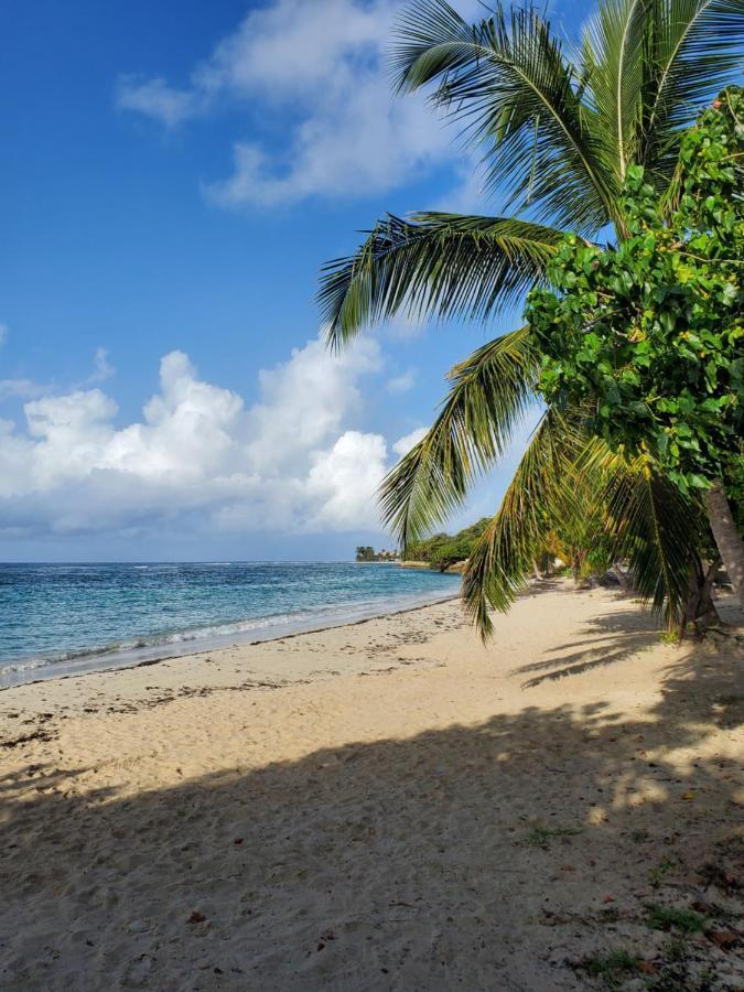 Villa L'Anjou Creole A Sainte Anne En Guadeloupe Avec Piscine Privee Et 2 Chambres Pour 4 Personnes Luaran gambar