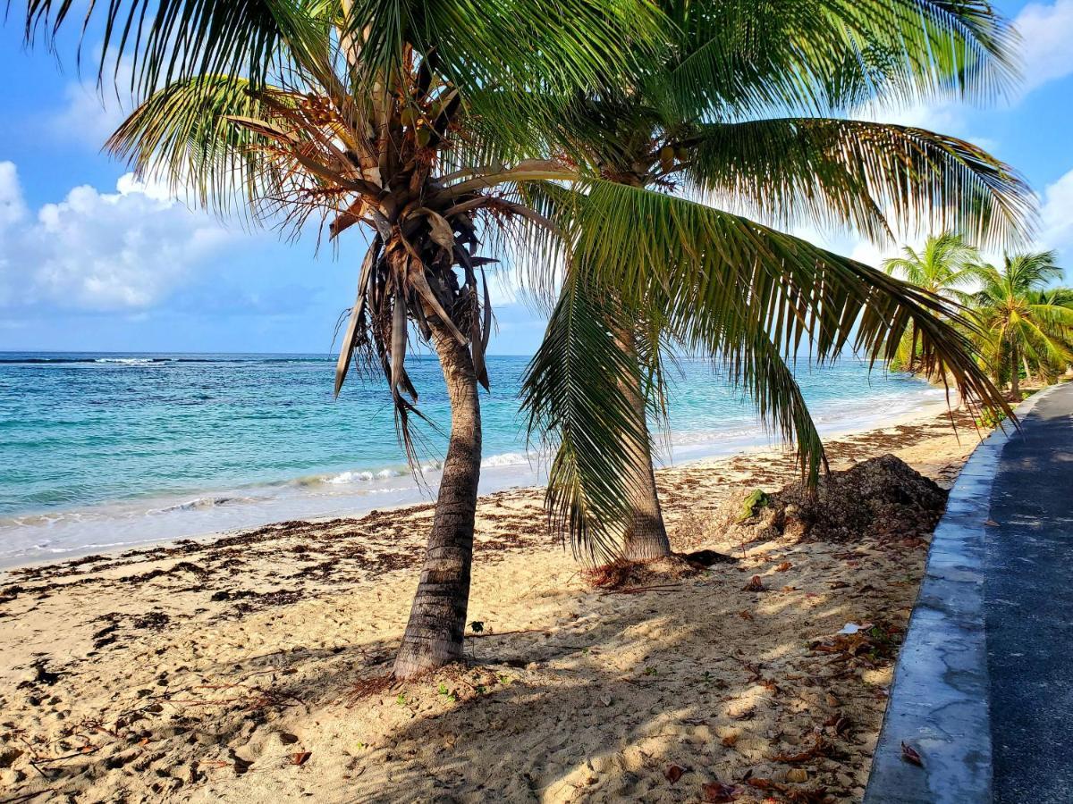 Villa L'Anjou Creole A Sainte Anne En Guadeloupe Avec Piscine Privee Et 2 Chambres Pour 4 Personnes Luaran gambar