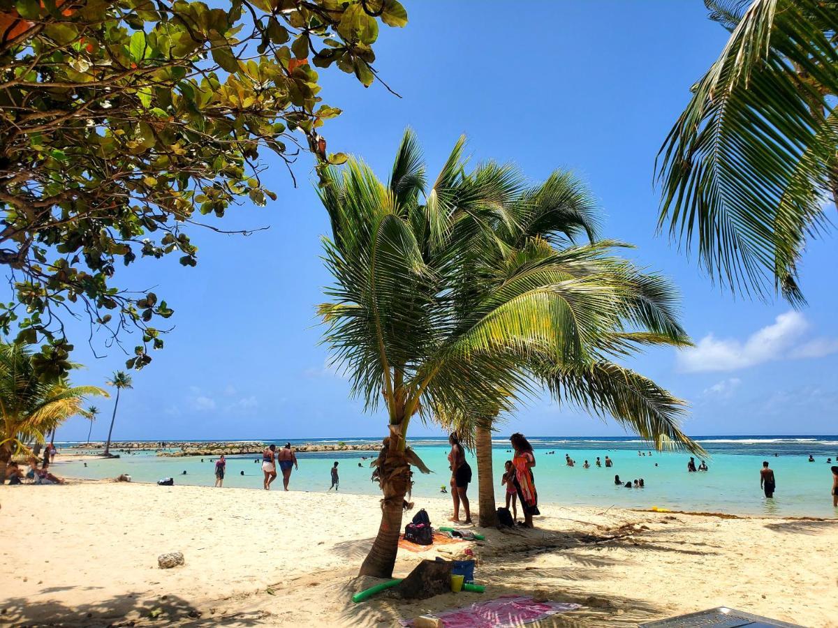 Villa L'Anjou Creole A Sainte Anne En Guadeloupe Avec Piscine Privee Et 2 Chambres Pour 4 Personnes Luaran gambar
