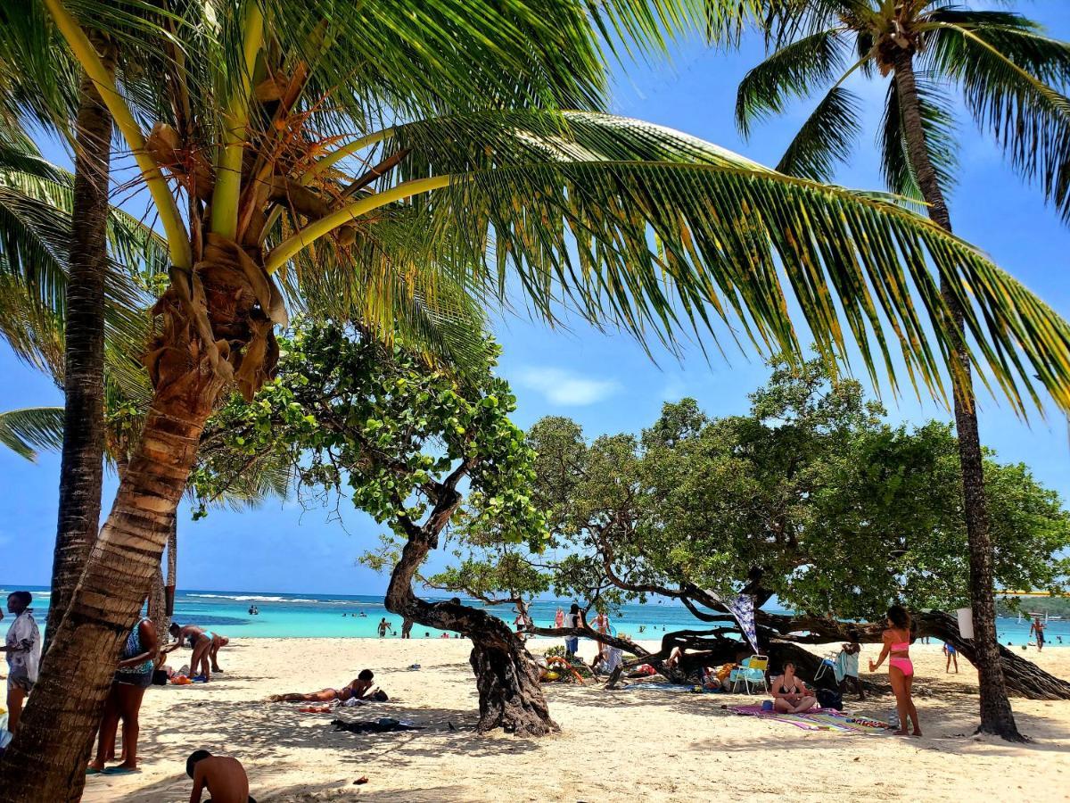 Villa L'Anjou Creole A Sainte Anne En Guadeloupe Avec Piscine Privee Et 2 Chambres Pour 4 Personnes Luaran gambar