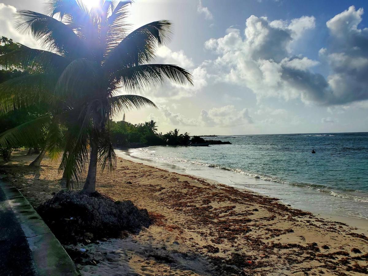 Villa L'Anjou Creole A Sainte Anne En Guadeloupe Avec Piscine Privee Et 2 Chambres Pour 4 Personnes Luaran gambar