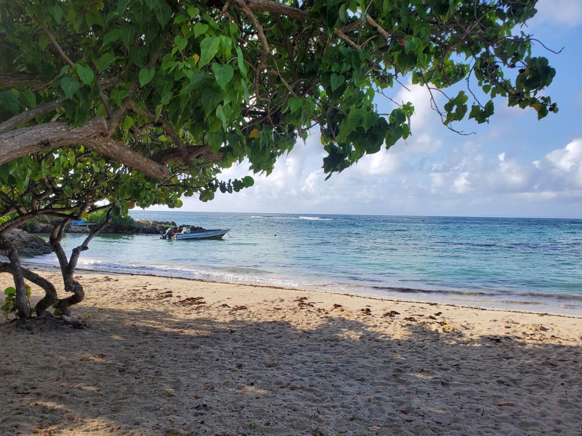 Villa L'Anjou Creole A Sainte Anne En Guadeloupe Avec Piscine Privee Et 2 Chambres Pour 4 Personnes Luaran gambar