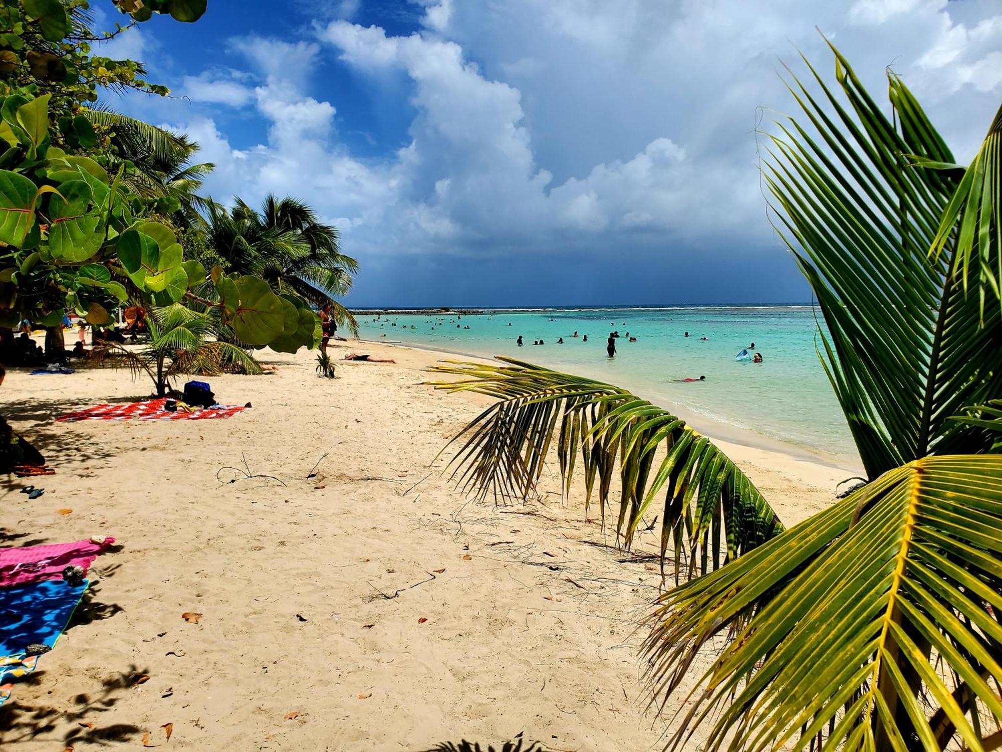 Villa L'Anjou Creole A Sainte Anne En Guadeloupe Avec Piscine Privee Et 2 Chambres Pour 4 Personnes Luaran gambar