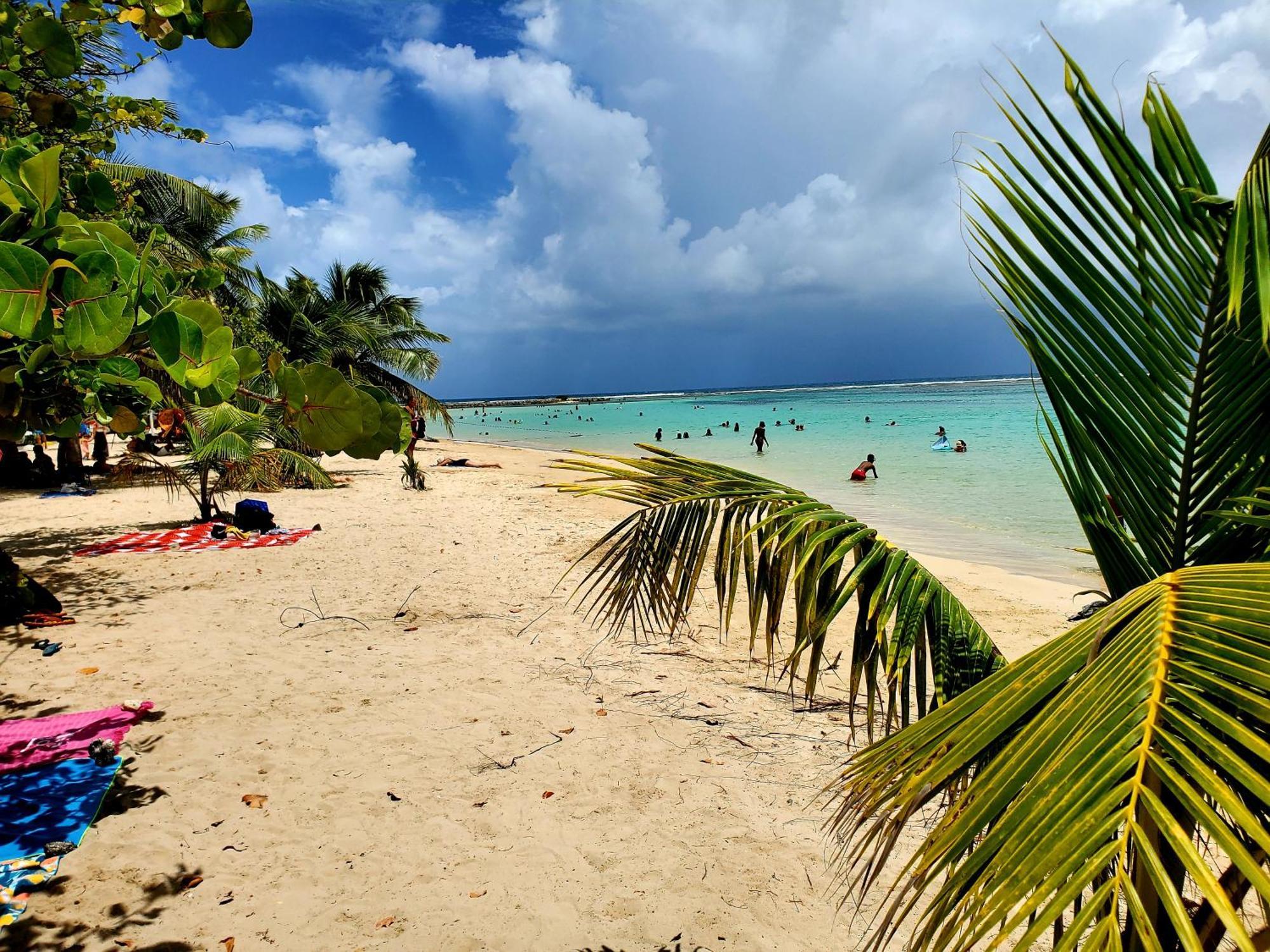 Villa L'Anjou Creole A Sainte Anne En Guadeloupe Avec Piscine Privee Et 2 Chambres Pour 4 Personnes Luaran gambar